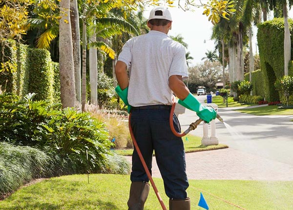 About Fairmont MN Pest Control